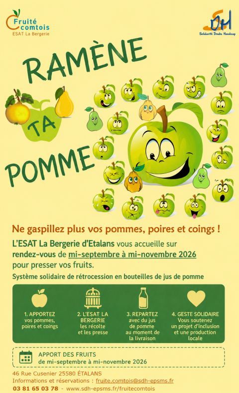 Apport de pommes